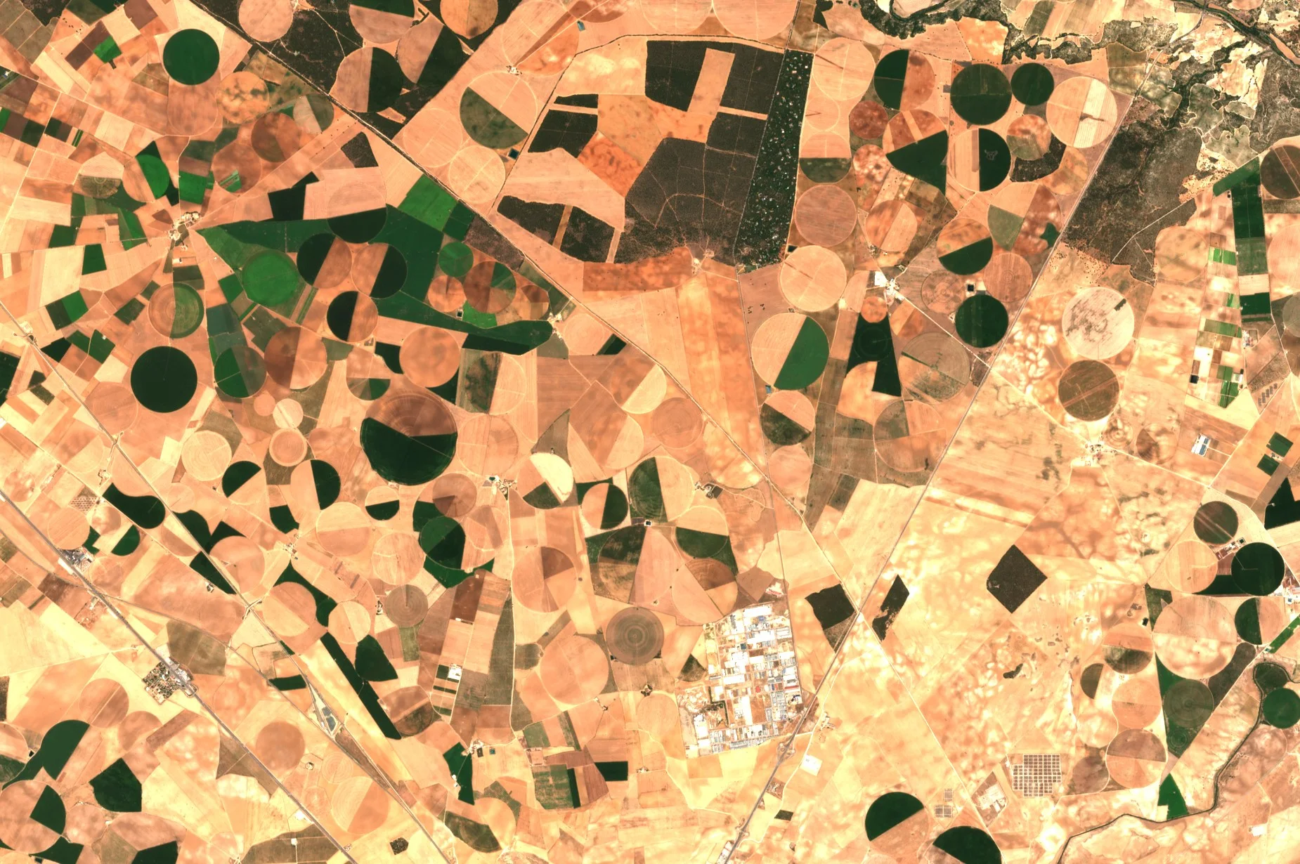 A satellite view of dry, pale brown farmland scattered with large circles. Some circles are dark green with growing crops, others are pale brown and bare, and several are split into green and brown halves.