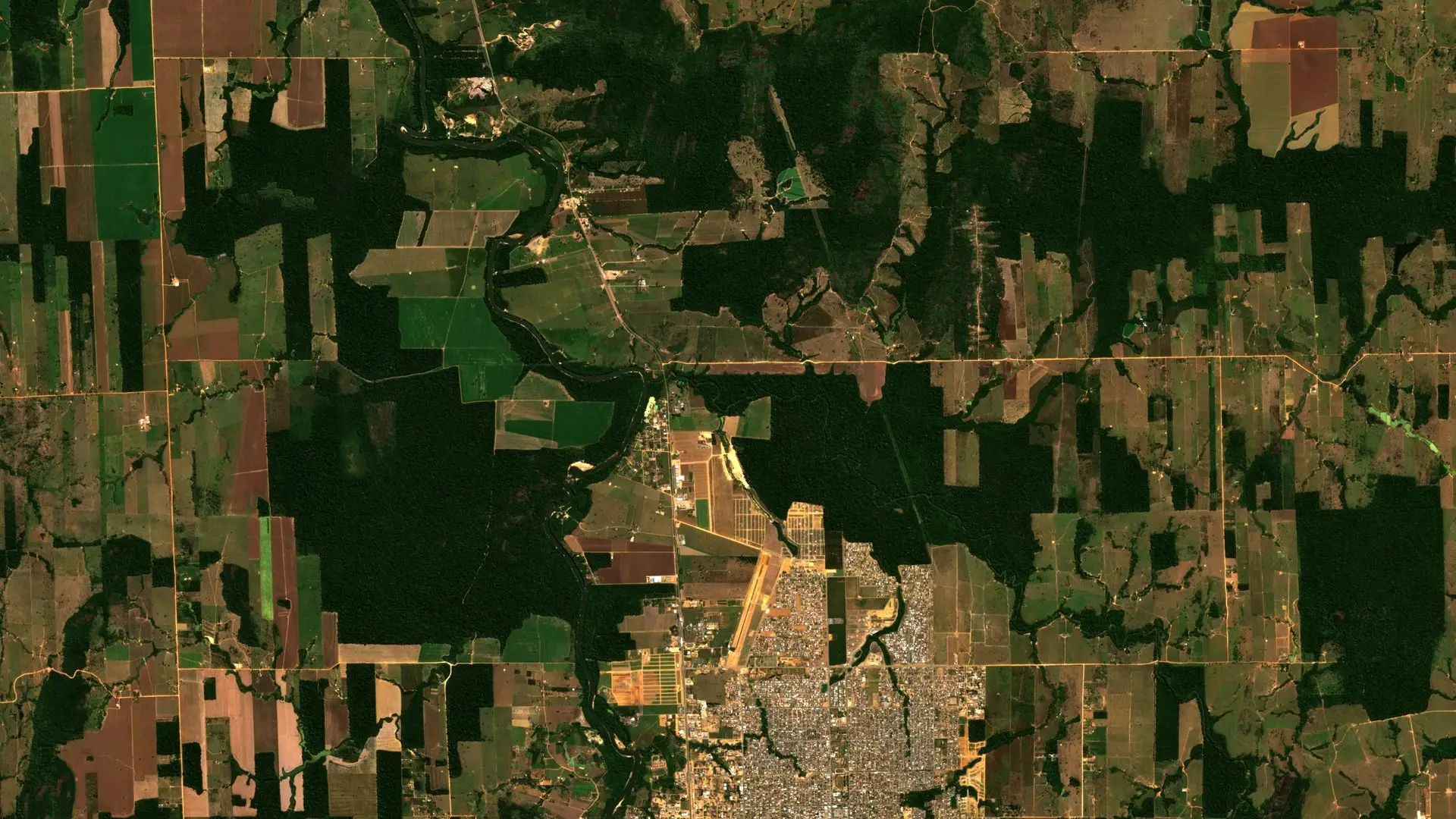 Satellite view of forest cleared into fields around Ariquemes in Rondônia, Brazil, with remaining rainforest in dark green.