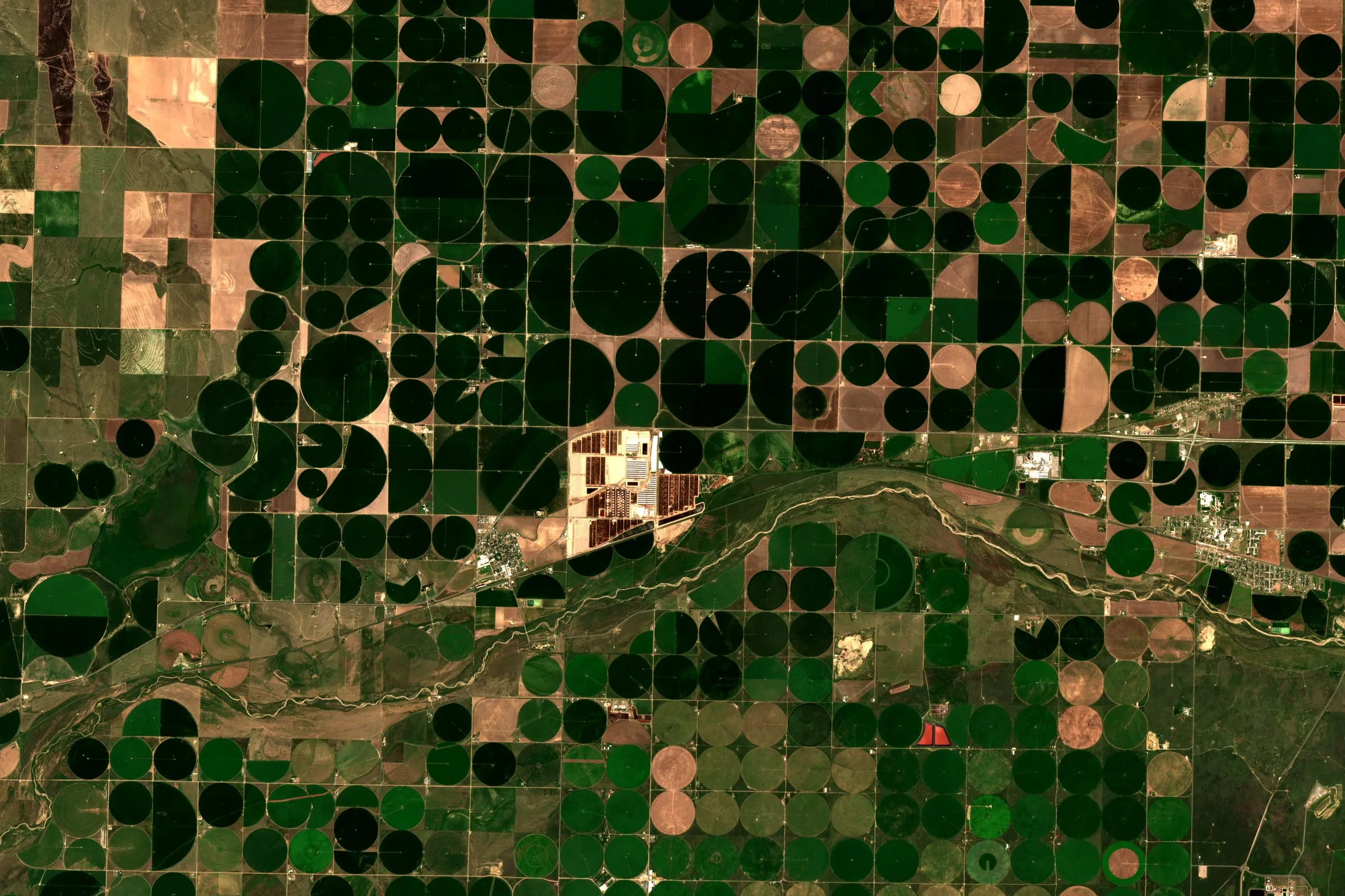 Satellite view of centre-pivot irrigated fields on either side of the Arkansas River in Kansas