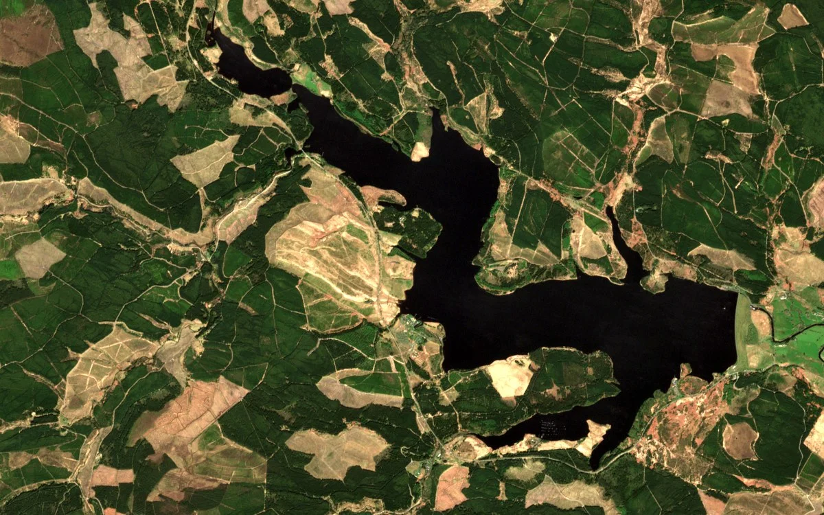 Sentinel-2 view of part of Kielder Water, a dark reservoir winding between forestry plantations and felled hillsides