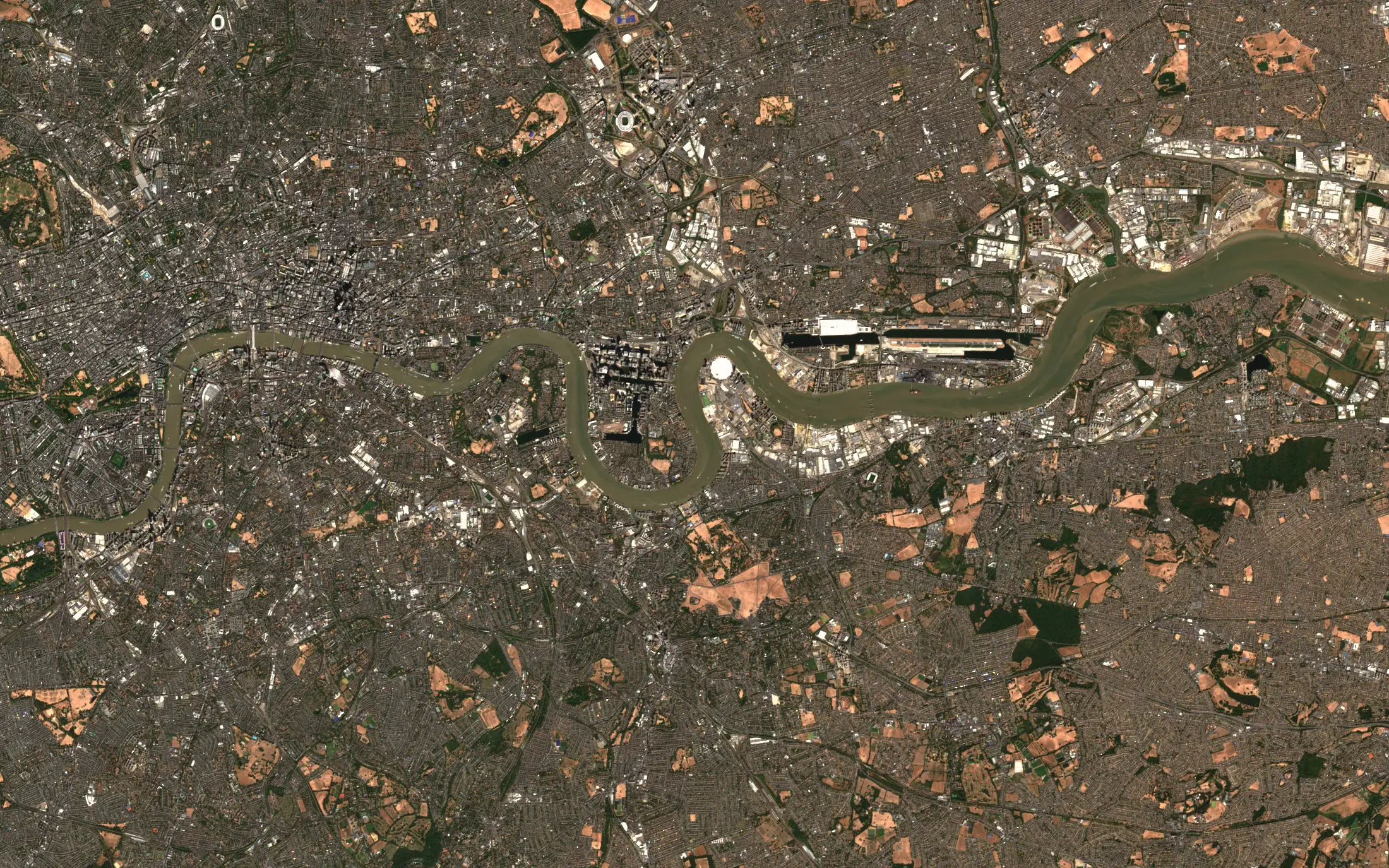 Sentinel-2 view of east London on 13 August 2026, with the Thames winding past the City, Canary Wharf and the Royal Docks, and parched brown parks among the streets