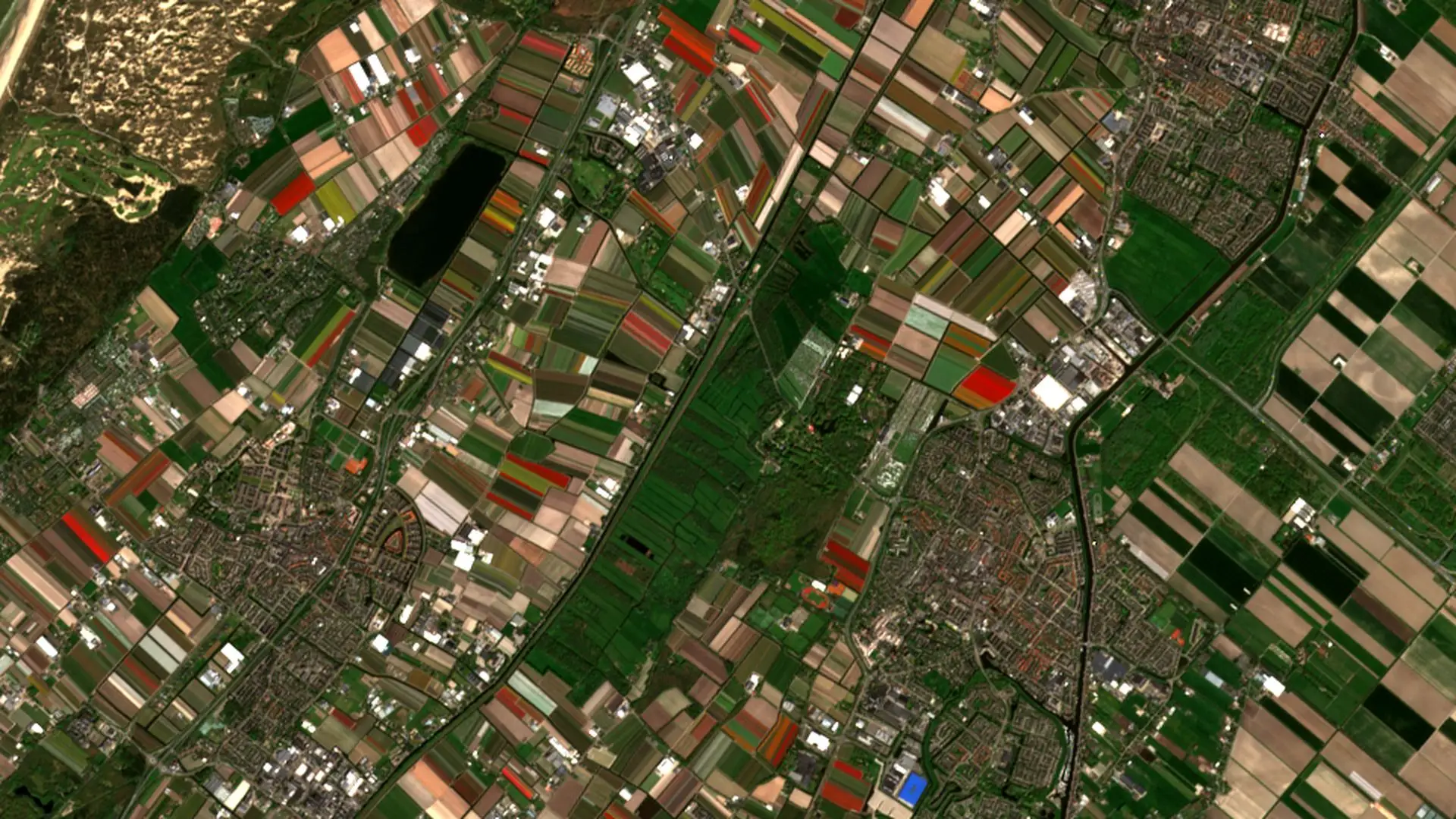 Sentinel-2 image of the bulb fields around Lisse in the Netherlands, in strips of red, pink, yellow and green, with dunes along the North Sea to the north-west. Bulb fields near Lisse, the Netherlands, 21 April 2026
