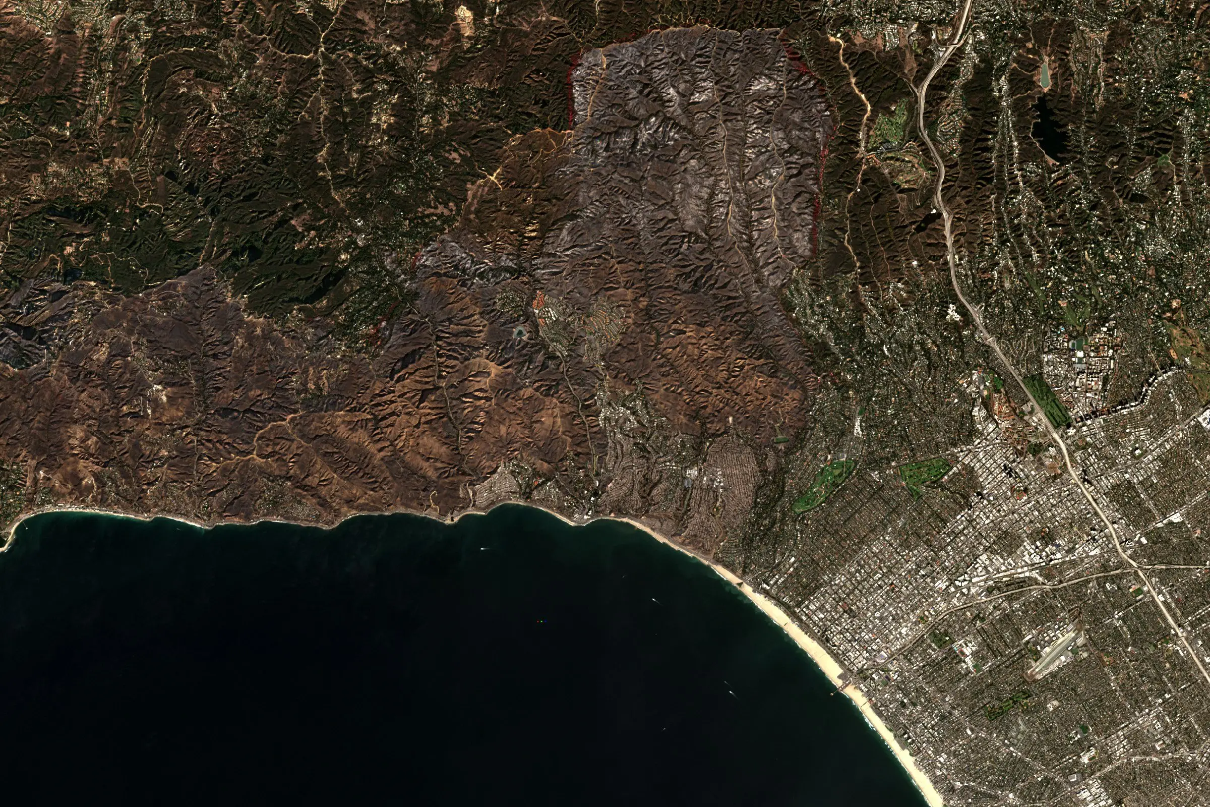 Satellite view of the Santa Monica Mountains above Los Angeles after the wildfire, with four scene footprints over the burn area and an area of interest drawn inside them