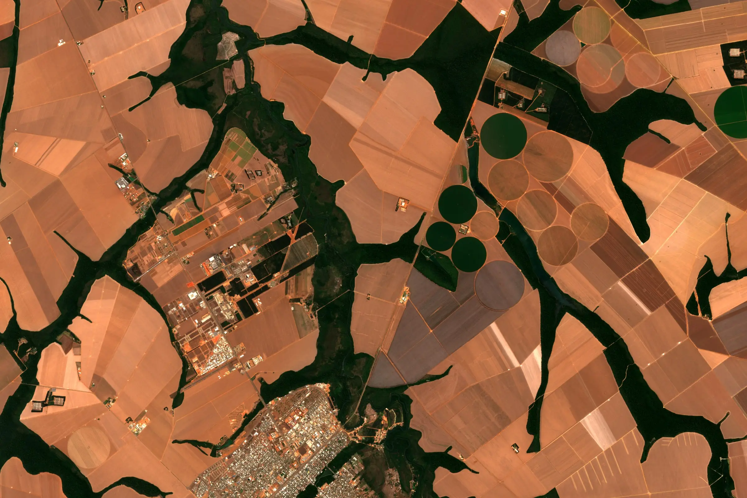 Satellite view of large bare and irrigated fields around Lucas do Rio Verde, Mato Grosso, Brazil, with dark strips of forest along the streams and the town at the edge