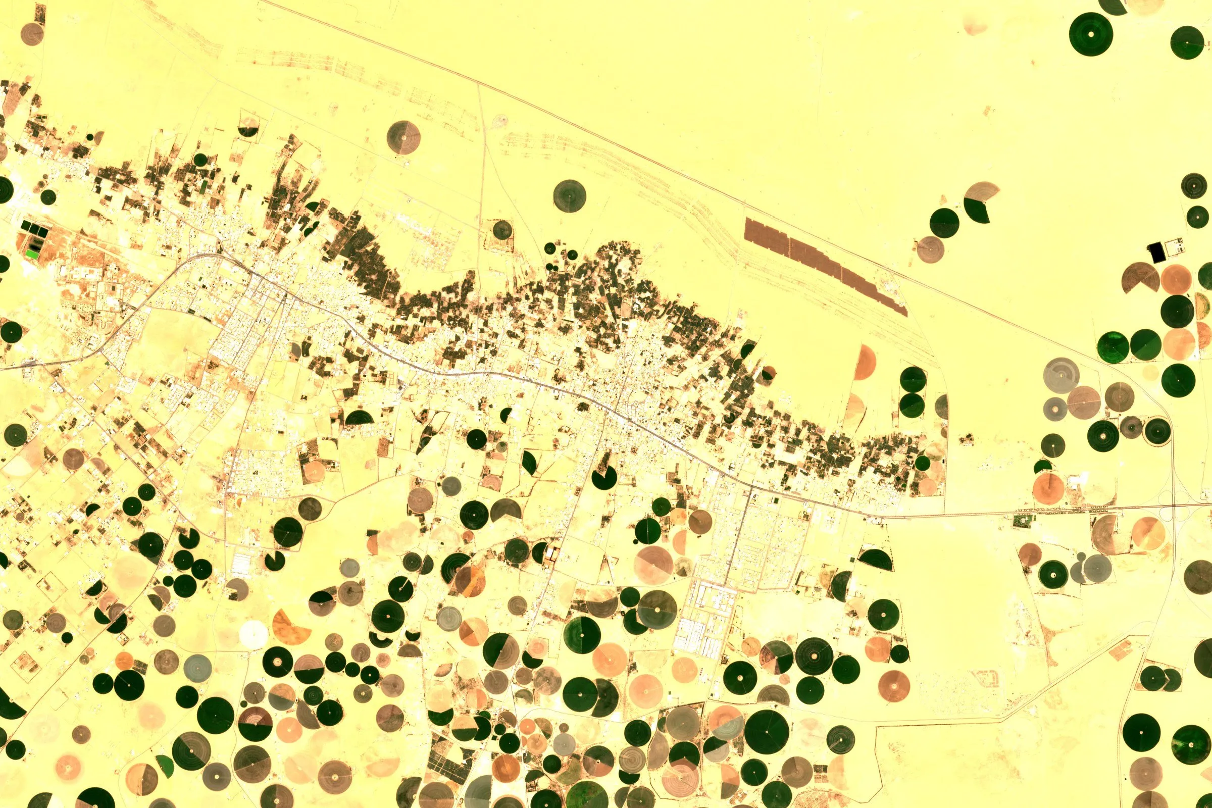 Satellite view of green centre-pivot irrigation circles scattered across pale desert at Wadi ad-Dawasir, Saudi Arabia
